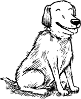 Finalmente, os cães podem voar.