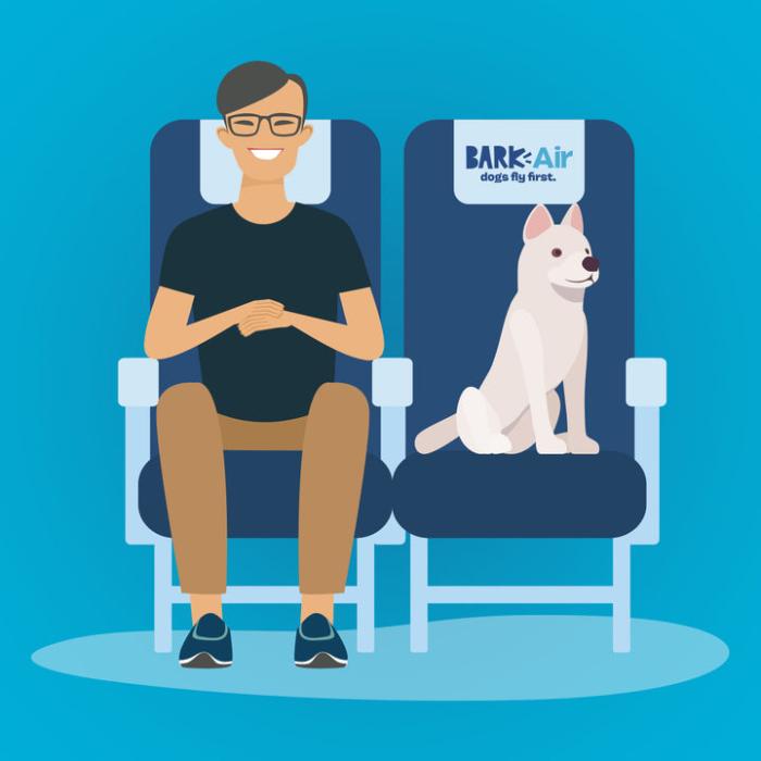 graphic of a dog sitting in plane seat next to human