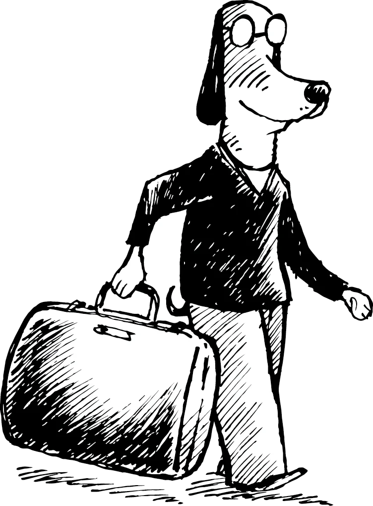 Book Flights BARK Air book-flights-bark-air